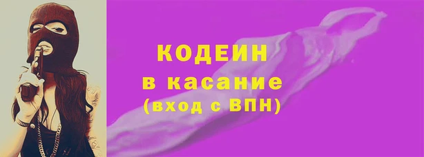 индика Нея